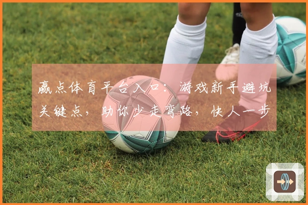 赢点体育平台入口：游戏新手避坑关键点，助你少走弯路，快人一步！