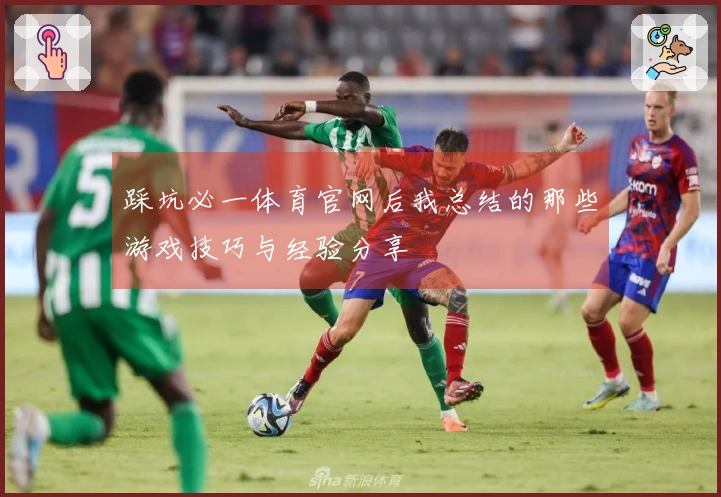 踩坑必一体育官网后我总结的那些游戏技巧与经验分享