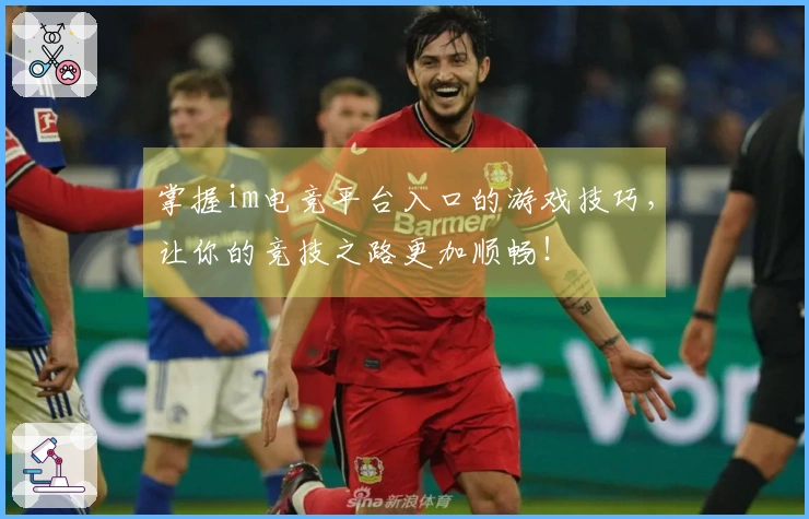 掌握im电竞平台入口的游戏技巧，让你的竞技之路更加顺畅！